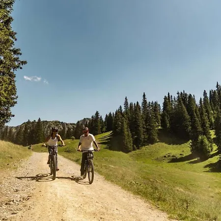 Διαμέρισμα Tovassiere Ts113 Nature & View 4 Pers Châtel