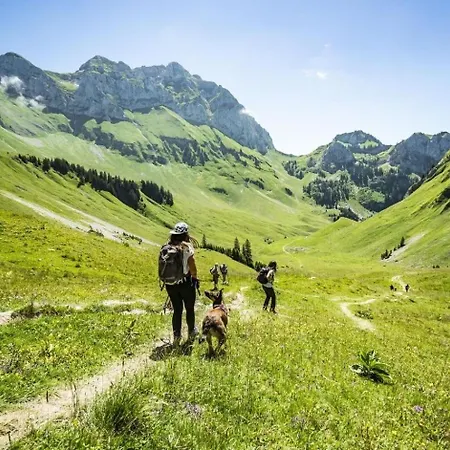 Tovassiere Ts113 Nature & View 4 Pers * Châtel