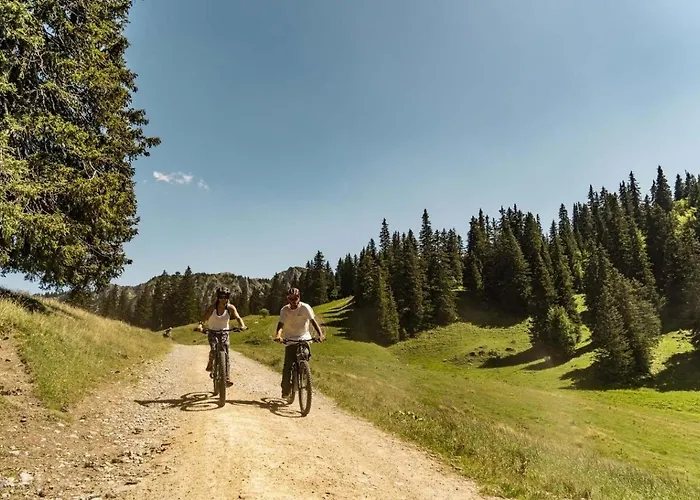 Apartament Tovassiere Ts113 Nature&view 4 Pers Châtel