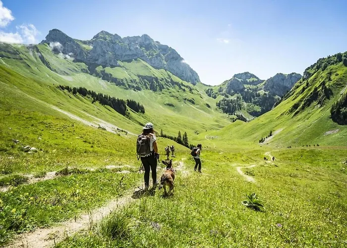 Tovassiere Ts113 Nature&view 4 Pers * Châtel
